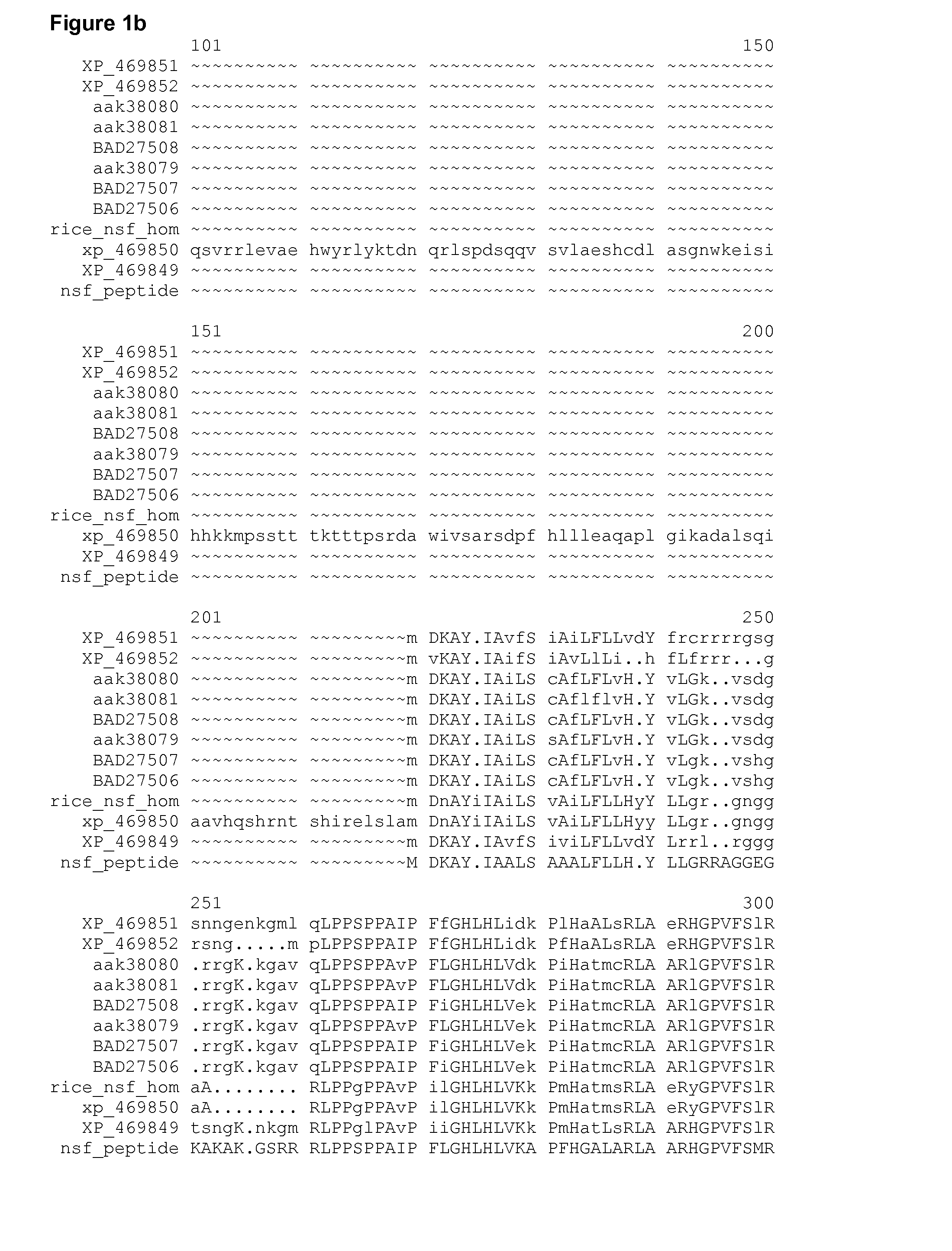 Polynucleotide Encoding a Maize Herbicide Resistance Gene and Methods for Use