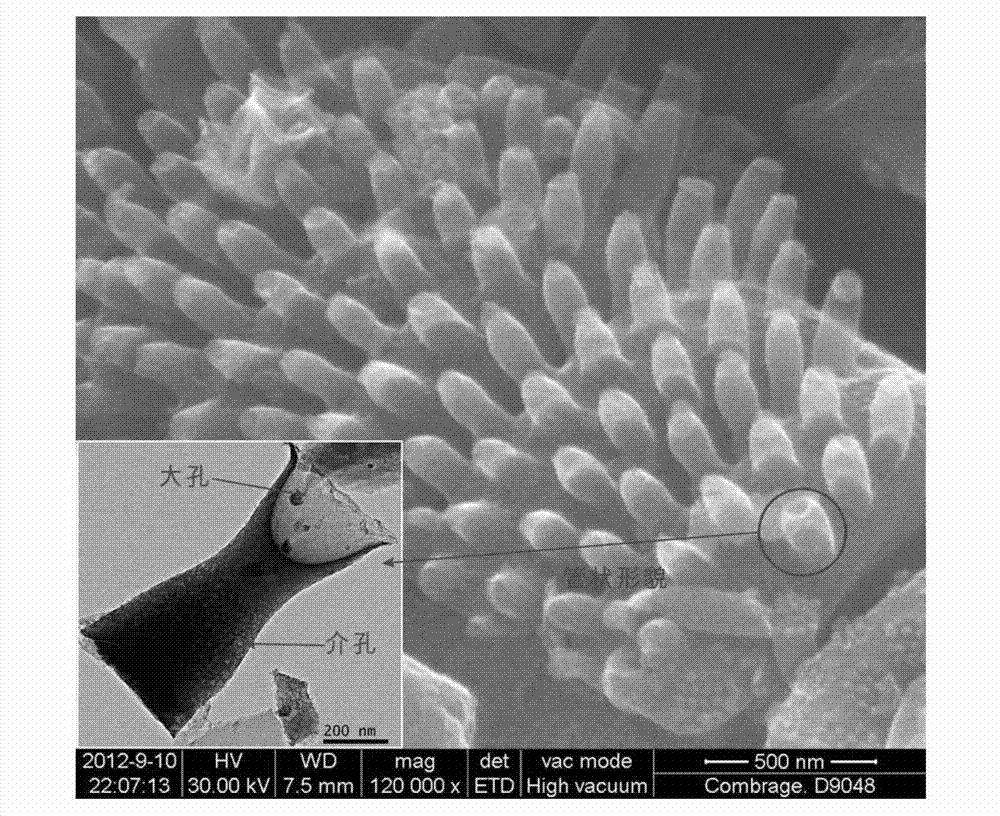 Kieselguhr template carbon with large specific surface area and high pore volume and preparation method thereof