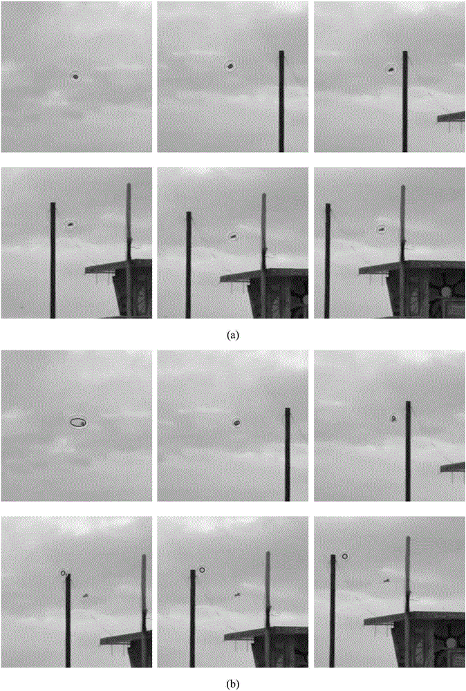 Adaptive Mean Shift target tracking method based on LBP features