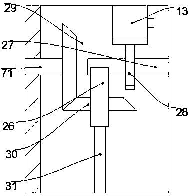 Processing device for dendrobium candidum