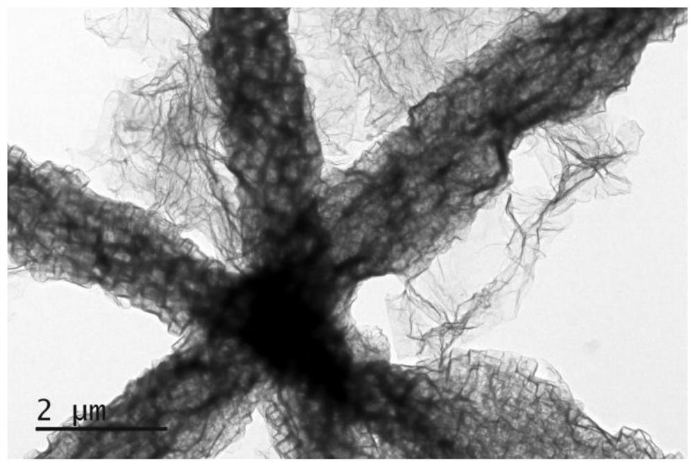 Carbon fiber gel material as well as preparation method and application thereof