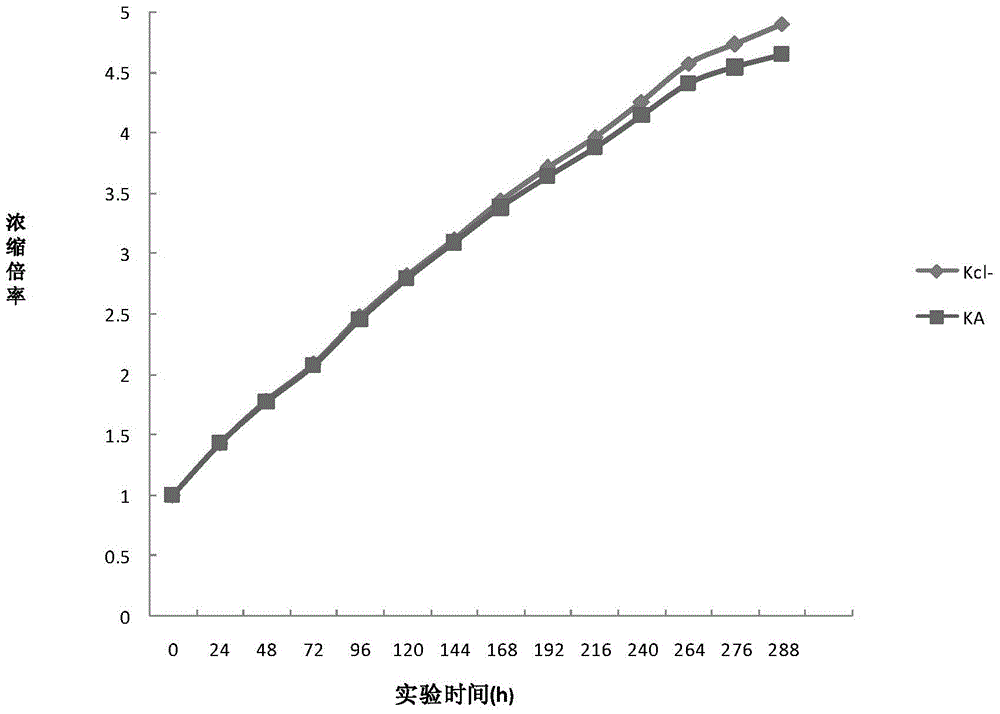 General corrosion and scale inhibitor for purifying circulating water and preparation and application thereof