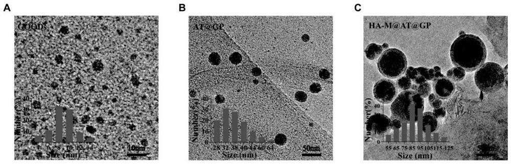 GOQDs-based pH-response-type bionic nano-preparation and preparation method and application thereof