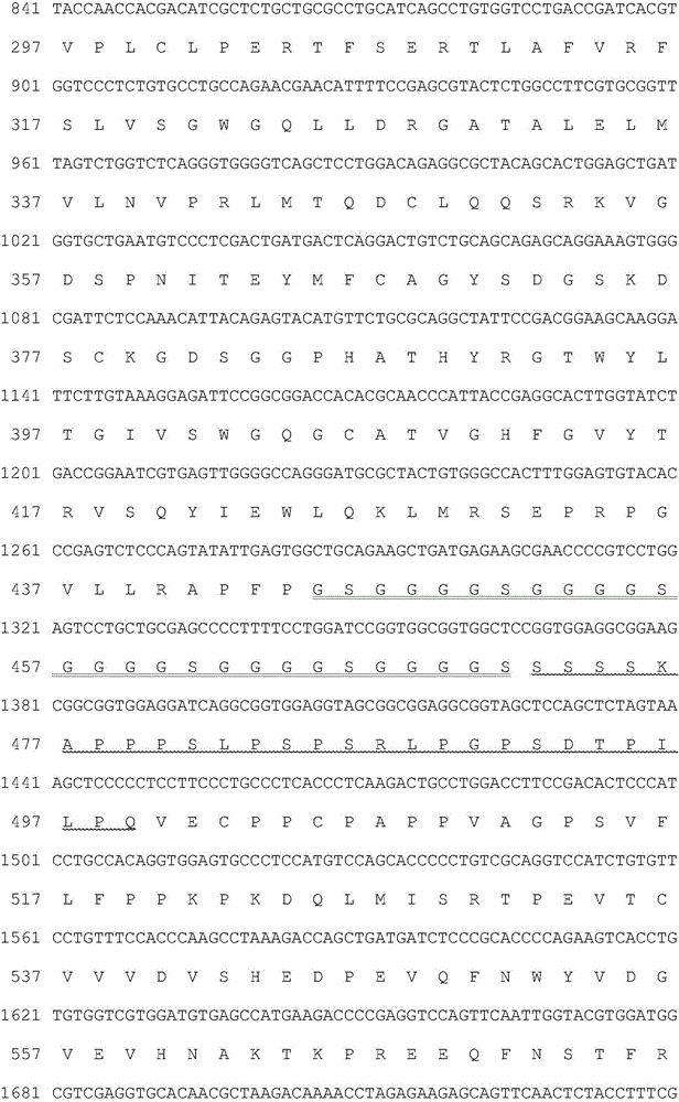 Activated human coagulation factor VII fusion protein and preparation method and application thereof