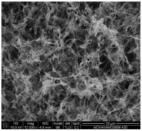 Chitosan/bacterial cellulose composite aerogel adsorbent and preparation method and application thereof