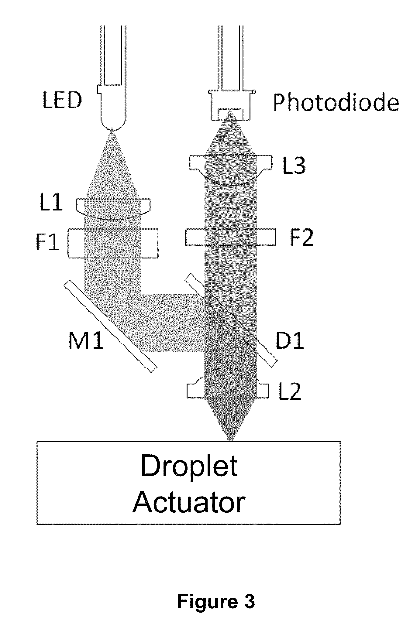 Enzyme assays for a droplet actuator