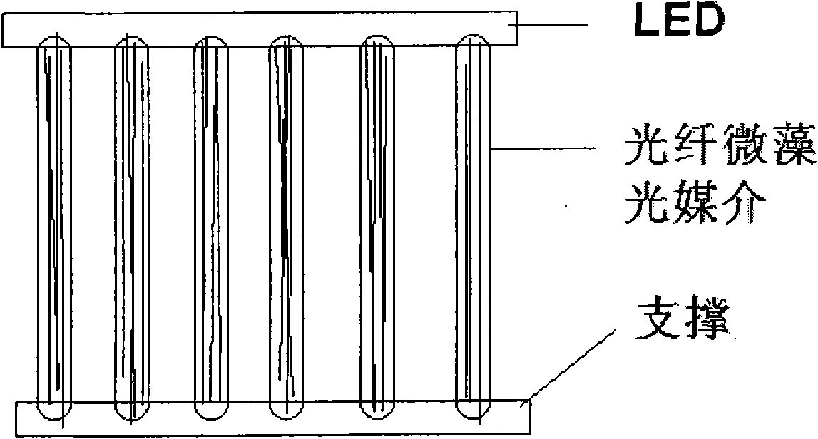 Device for purifying flue gas by utilizing microalgae source photosynthetic microorganisms and method thereof