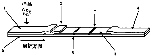 Time-resolved fluorescent immunochromatographic card for detecting vomitoxin and acetylated derivatives thereof