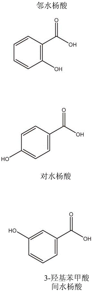 Nicotine salt with m eta-salicylic acid