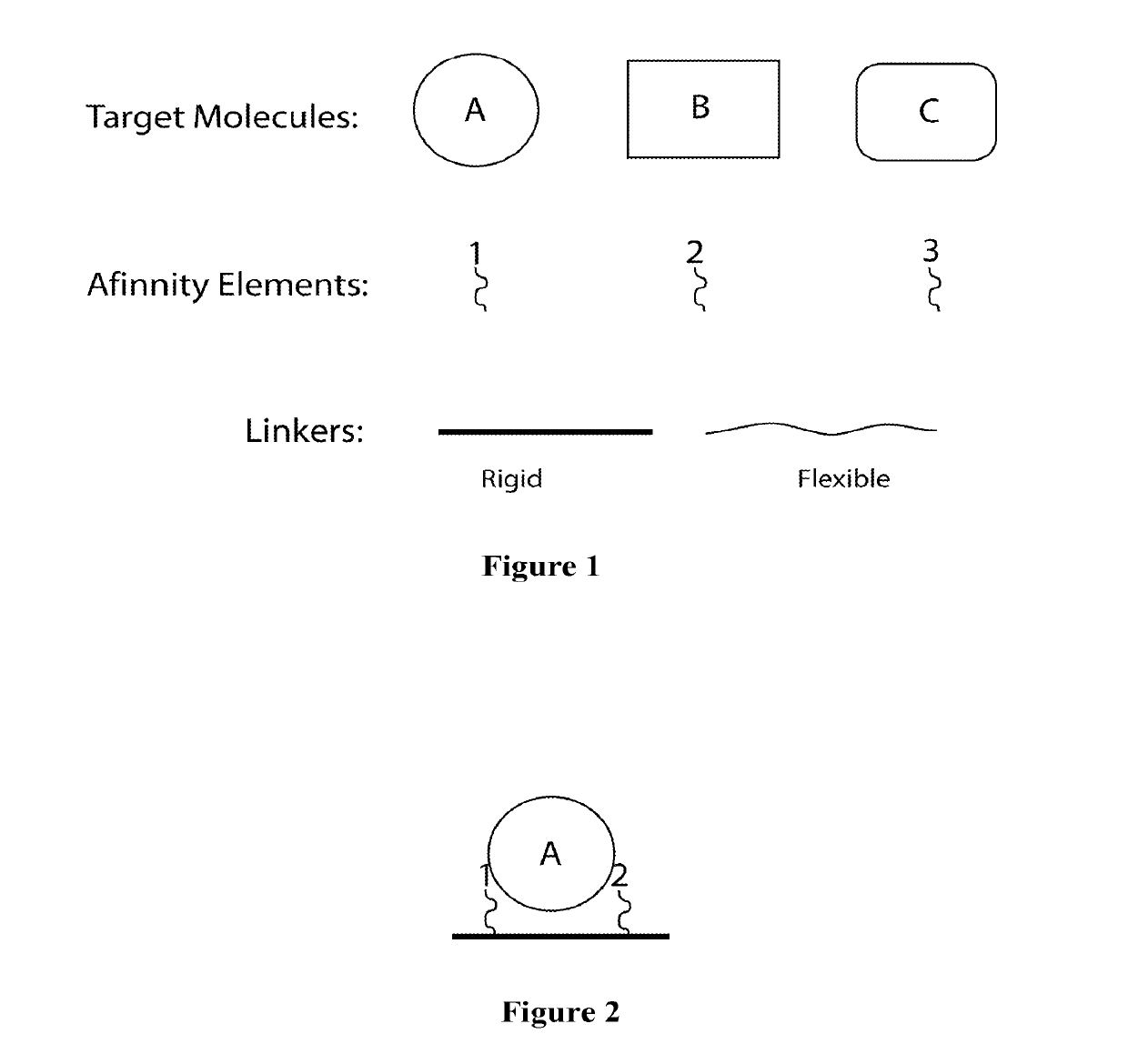 Synthetic Antibodies