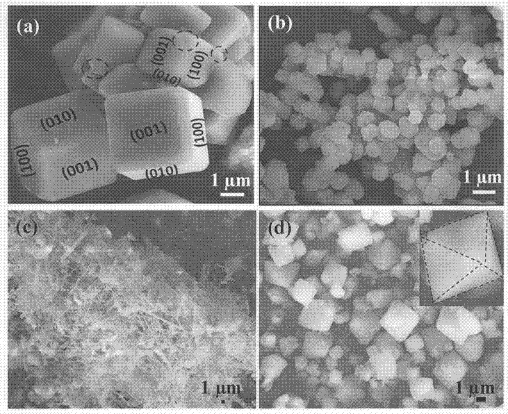 Method for degrading antibiotics by using double perovskite photocatalyst calcium copper titanate