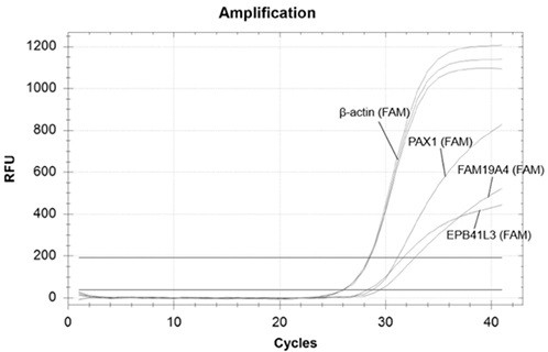 Primer and probe combination and kit for methylation detection of cervical cancer and use method of kit