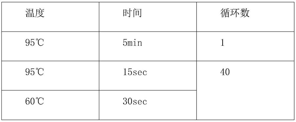 Primer and probe combination and kit for methylation detection of cervical cancer and use method of kit