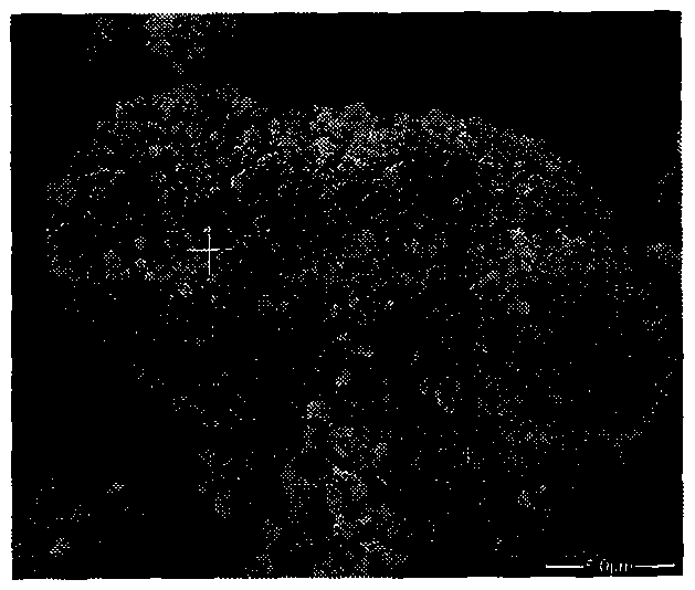 Method for preparing microcapsule red phosphorus inflaming retarding polylactic acid