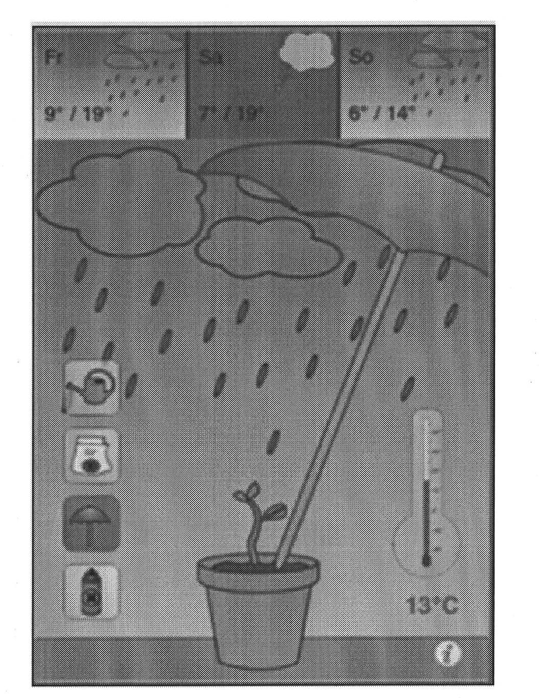 Weather information display method and mobile terminal