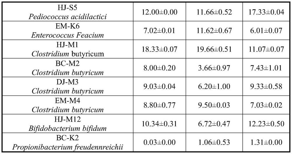 Field planting culture method and application of intestinal probiotics of sanhuang broiler chickens