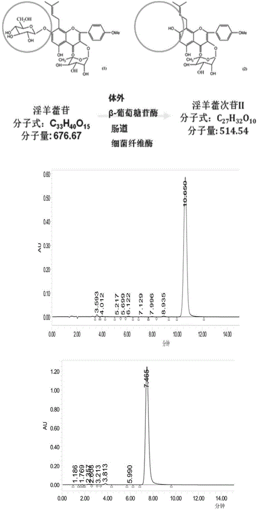 Uses of icariin or icariside II in prevention and treatment of kidney diseases