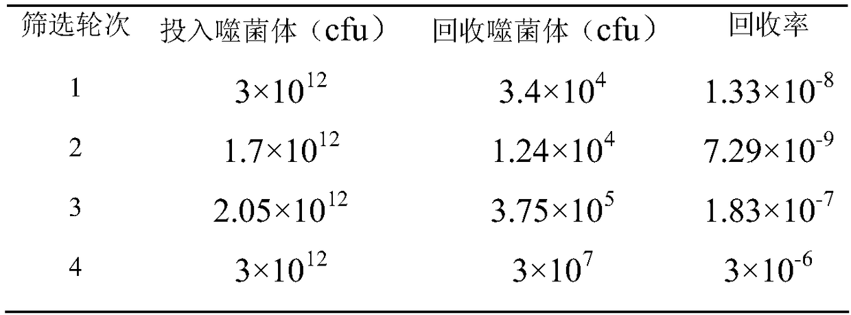 Preparation method and application of a kind of human source anti-vibrio vulnificus hemolysin protein (vvh) antibody