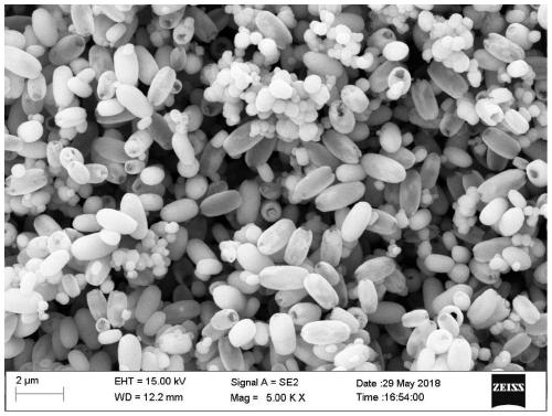 Spindle-shaped iron oxide nano material as well as preparation method and application thereof