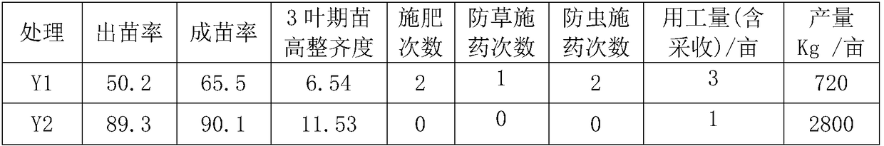 Method for planting pterocladia tenuis in high-temperature season in industrialization mode