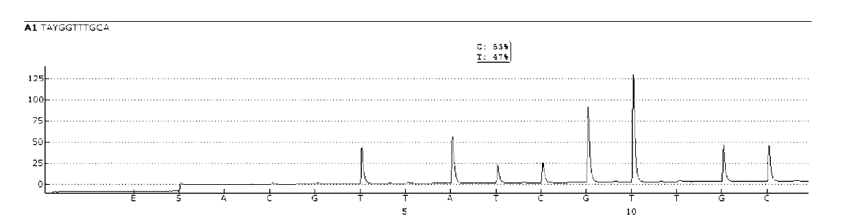 Sequencing primer for qualitative detection of TPMT genetic typing and kit thereof