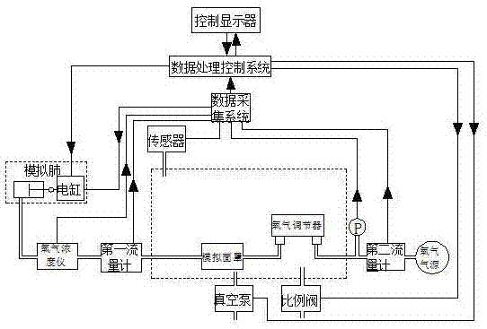 Fully-automatic lung type oxygen regulator test system