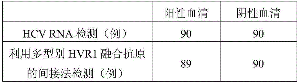 A fusion antigen of the first hypervariable region of hepatitis C virus and its application