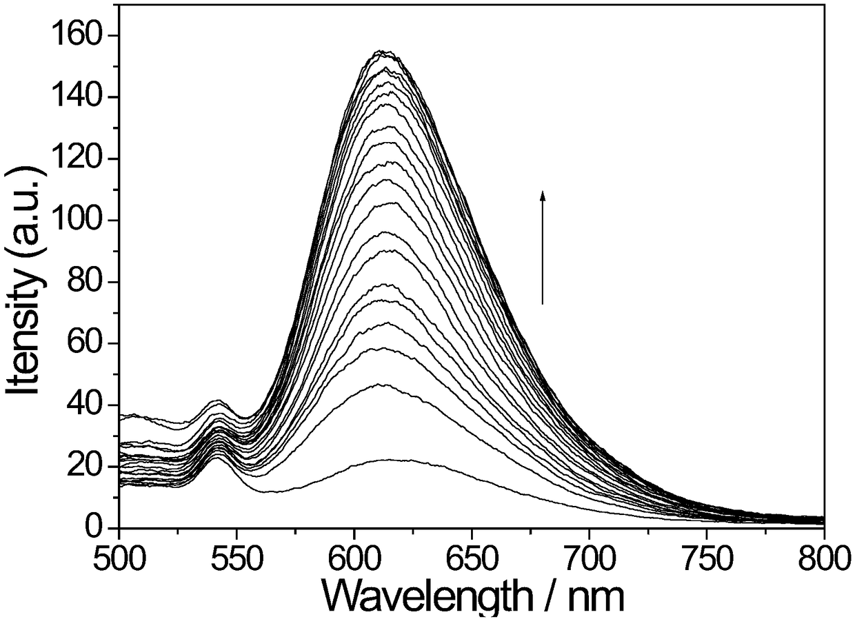 Ruthenium complex fluorescence probe, preparation method and application