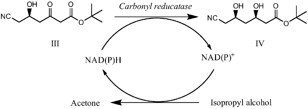 Carbonyl reductase genetically-engineered bacteria immobilized cells and application thereof