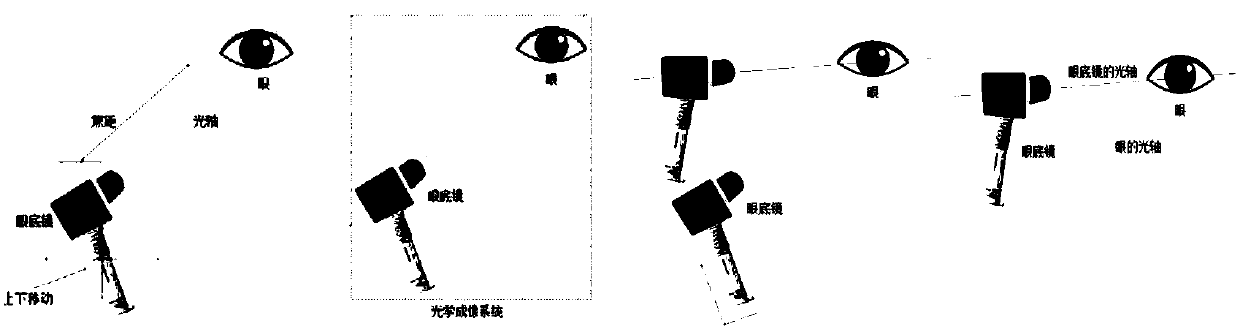 Retinal vessel three-dimensional reconstruction method based on portable digital fundus camera