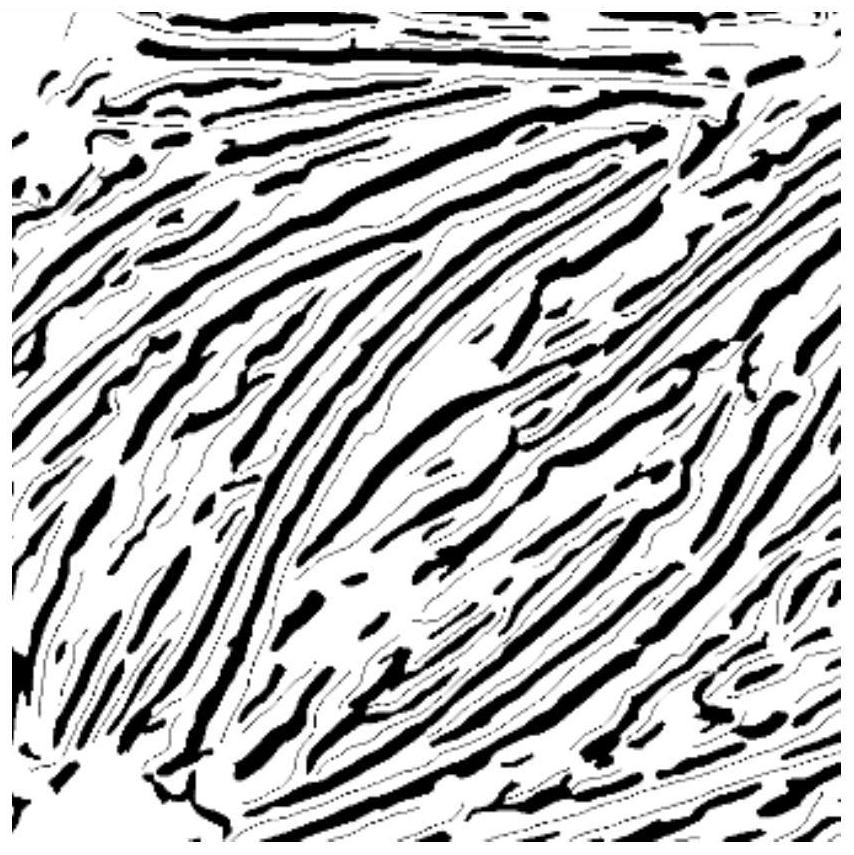 Contour estimation method of dense fibroblasts