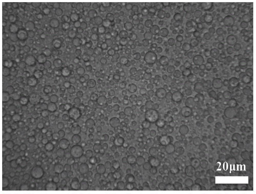 w/o/w multiphase emulsion and preparation of hierarchical porous siO using it as a template  <sub>2</sub> microsphere method