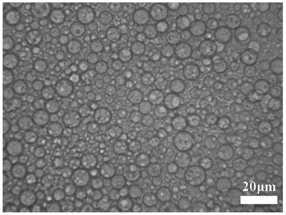 w/o/w multiphase emulsion and preparation of hierarchical porous siO using it as a template  <sub>2</sub> microsphere method