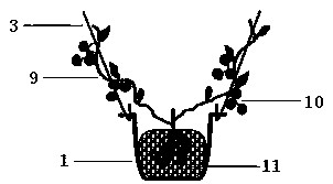 Suspended groove type potato soilless culture method