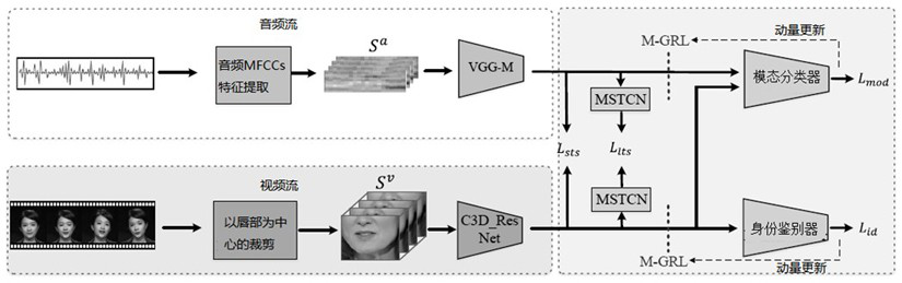 Cross-modal lip reading antagonism double-contrast self-supervised learning method