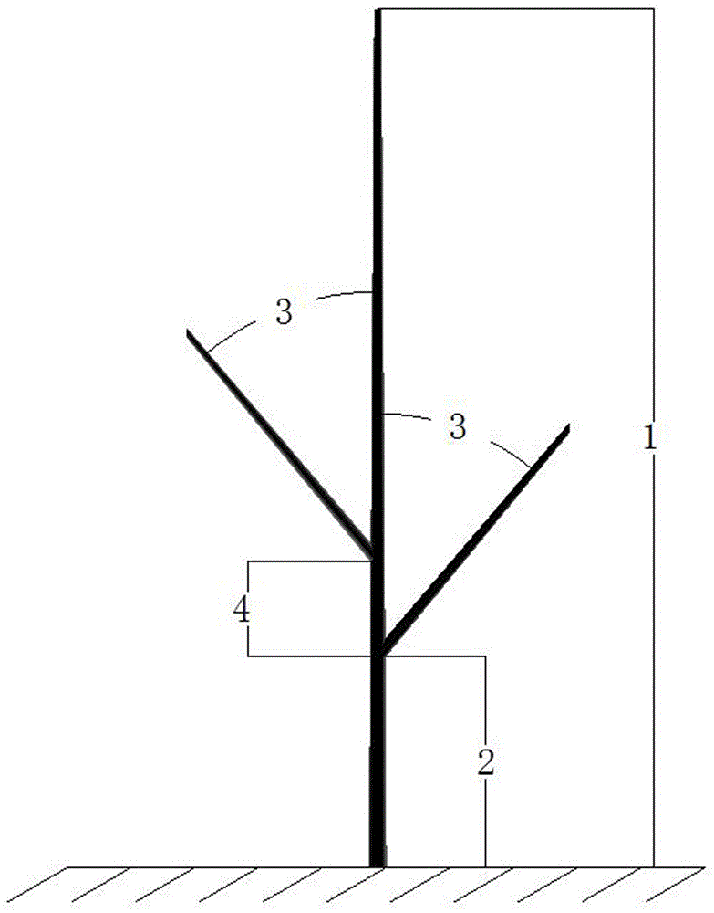 Inverted-umbrella-shaped cultivation technology for peach trees