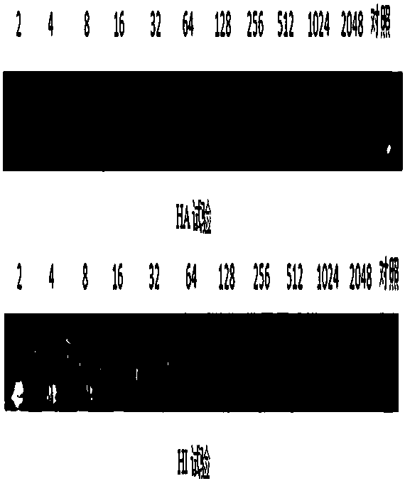 Preparation of chicken Newcastle disease virus strain rclone30‑flic and its application in the control of chicken Newcastle disease