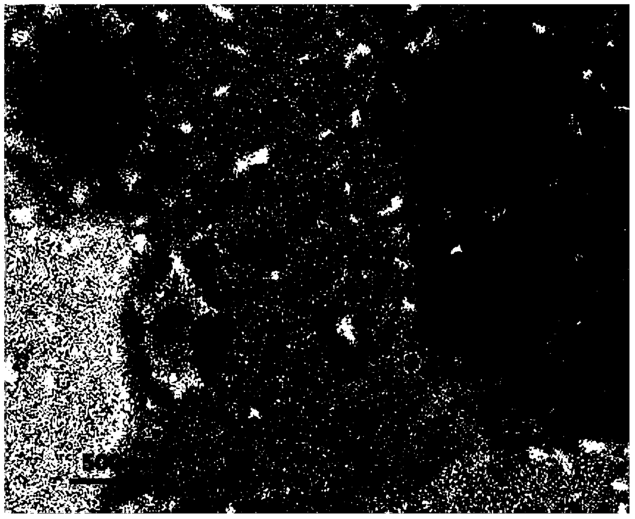 A kind of Fe3O4 magnetic nimodipine liposome and preparation method thereof