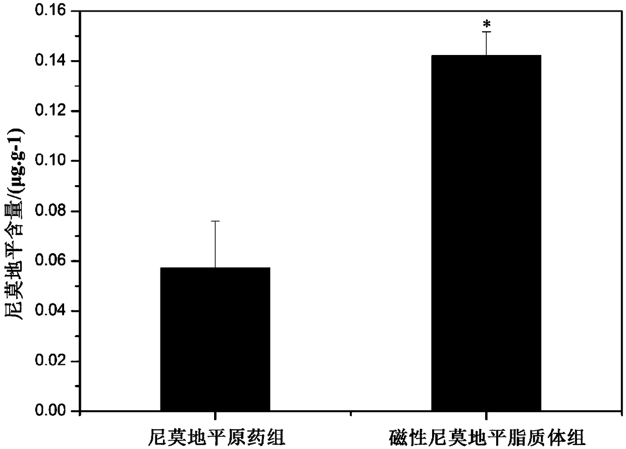 A kind of Fe3O4 magnetic nimodipine liposome and preparation method thereof