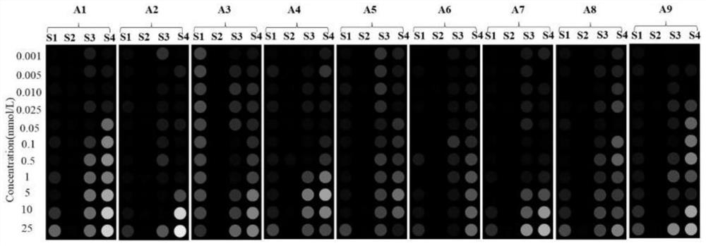 Organic acid small molecule based on aminophenol-Ag &lt; + &gt;/Cu &lt; 2 + &gt;, white spirit identification method and visual sensing array