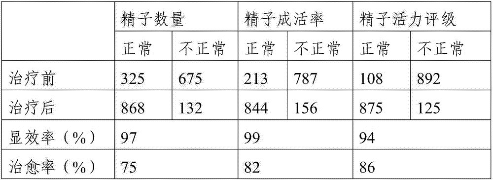 Traditional Chinese medicine decoction for male nourishing and regulation in fertilization preparing period and preparation method thereof