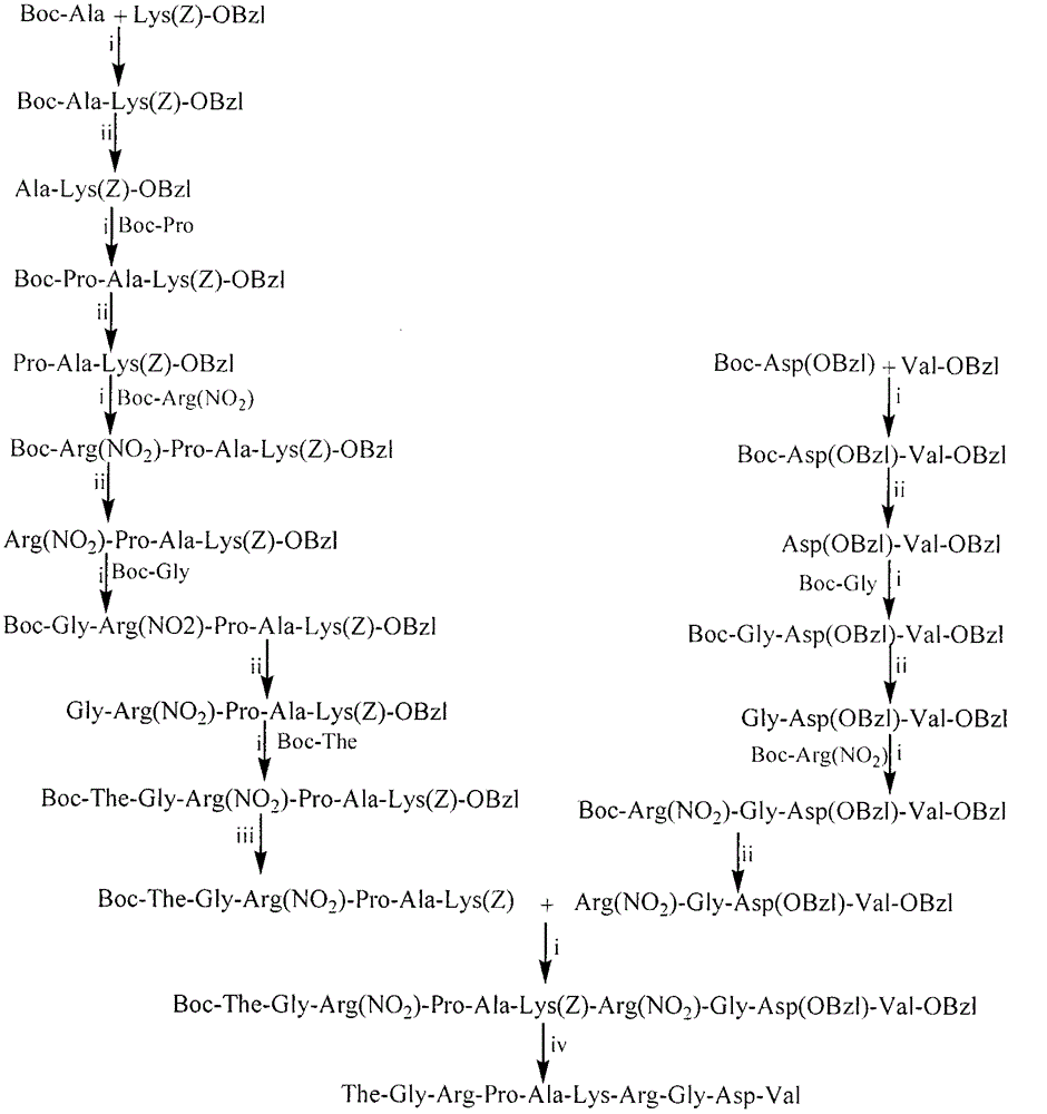 The-GRPAKRGDV decapeptide, and preparation method, activities and application thereof