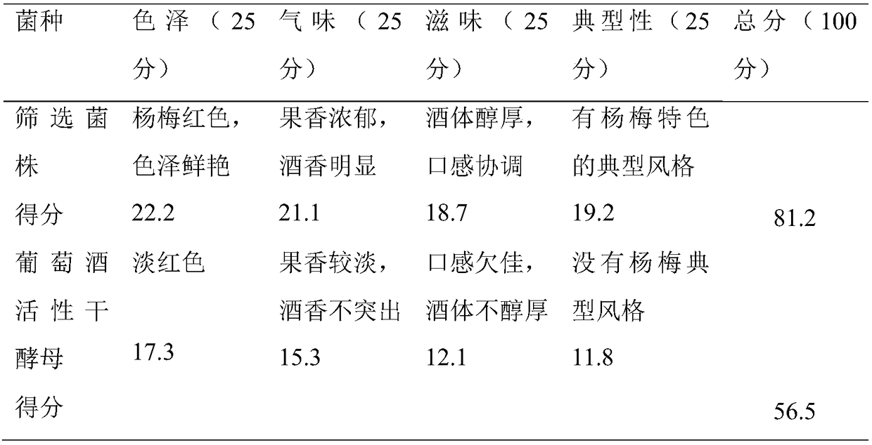 A Saccharomyces cerevisiae strain and the method for preparing red bayberry wine