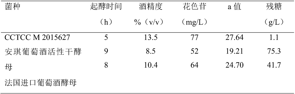 A Saccharomyces cerevisiae strain and the method for preparing red bayberry wine