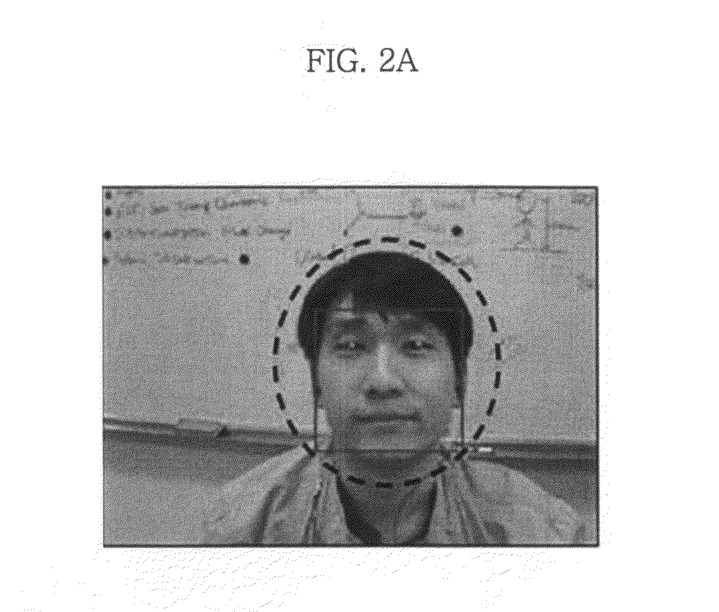 Facial recognition apparatus, method and computer-readable medium