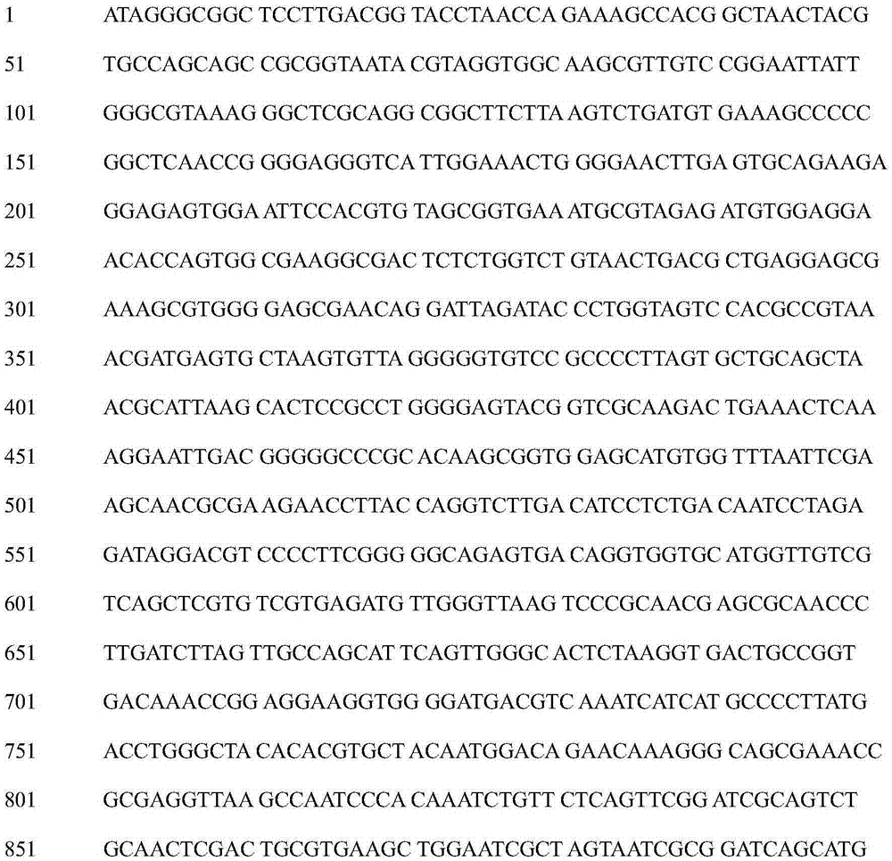 Bacillus DY26-004 and application thereof to prevention and control of plant pathogenic fungi