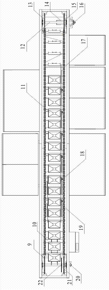 Fruit weighing and sorting system