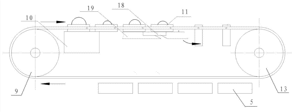 Fruit weighing and sorting system