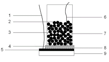 Direct carbon fuel cell device with liquid metal tin serving as anode