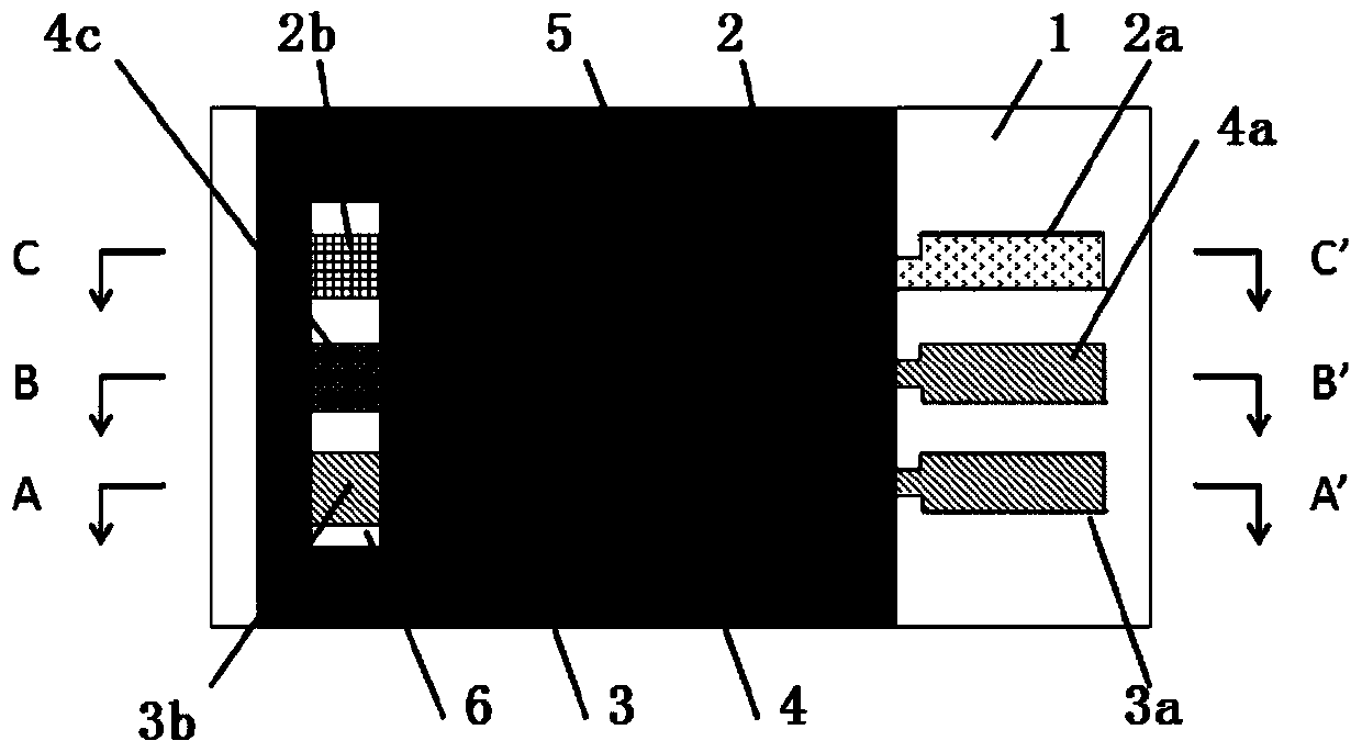 Graphene-modified lactic acid biosensor and preparation method thereof